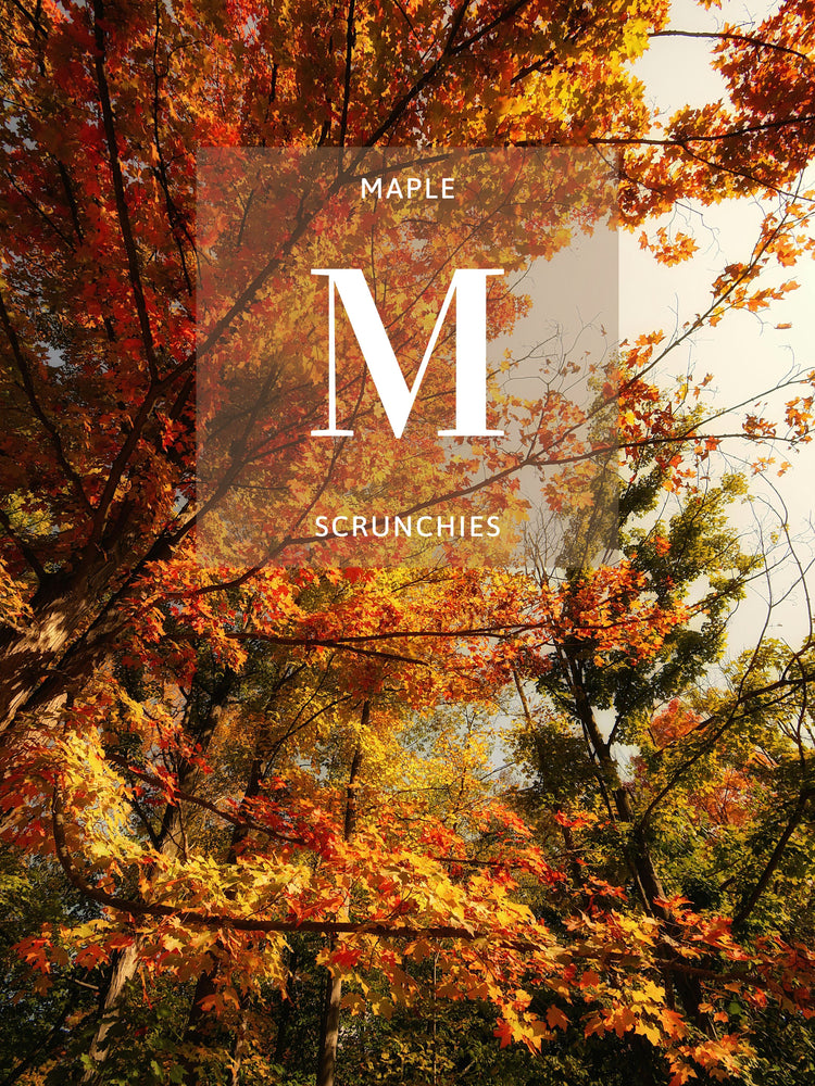 Maple