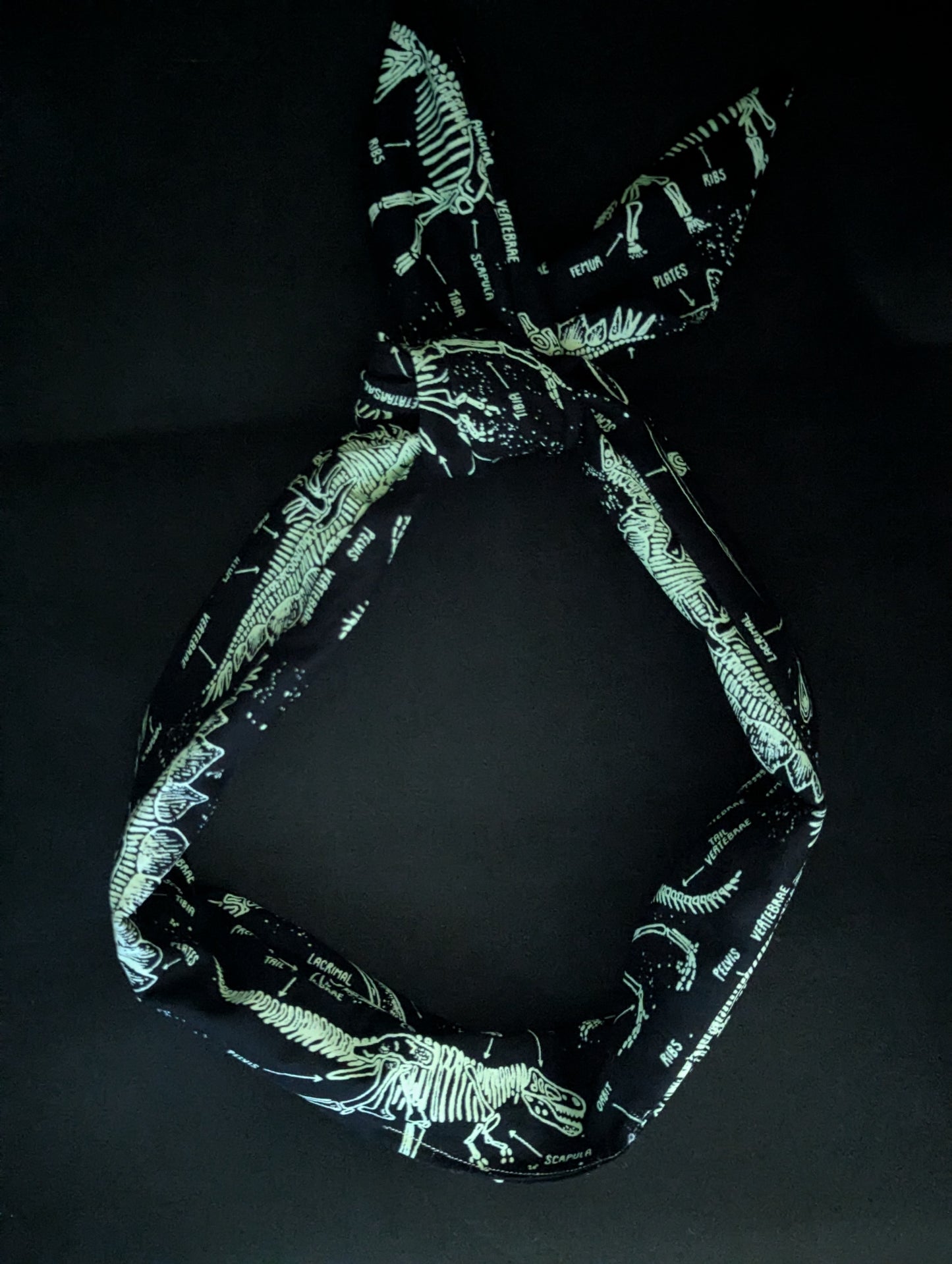 Fossil Retro Wire Headband | Glow-in-the-Dark Dinosaur Skeletons - Alpine Kneedles