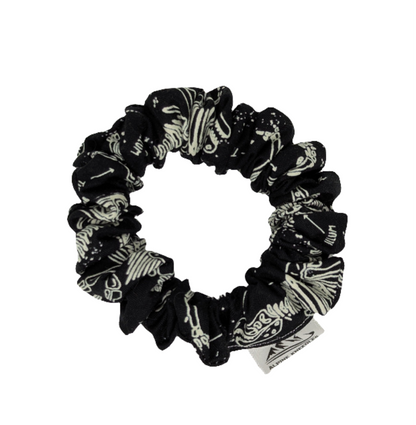 Fossil Sapling - Alpine Kneedles